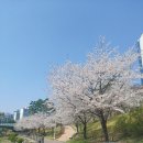 복합형 스마트폴(21) | 2025년부터 달라지는 세종시 스마트 도시계획