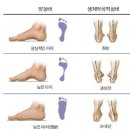 아치날 이미지