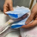 사과나무한방병원 이미지