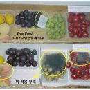 수명농장 이미지