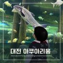 대전 보문산 아쿠아리움 : 14개월 아이와 2번째 다녀온 실내 아이와 가볼만한곳