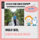 해풍참사과