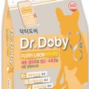 퍼피앤맘 이미지