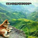 복 이미지