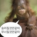 여수겁나떡집 | 난 지치고 힘들땐 여수를 가