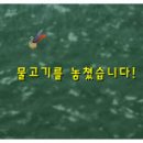 와우낚시 이미지
