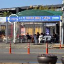투썸플레이스제주쇠소깍점 | ●제주 쇠소깍 카약 테우 체험 예약정보와 주차 꿀팁! 자연과 함께한 특별한 하루