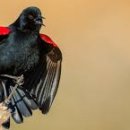 중앙공원.양지마을금호아파트 이미지