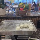 캔버스(CANVAS)(캔버스호스텔화이트) | [베트남/다낭] 다낭 호텔 다낭 가성비 숙소 캔버스 다낭 비치 호텔 조식 후기