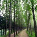 강서둘레길(개화산,치현산,한강코스) 이미지