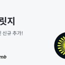 디브릿지