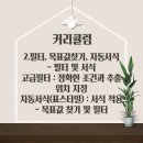 ITQ마스터(자격증)(한글&파워포인트&엑셀) 이미지