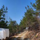 야산염소 이미지