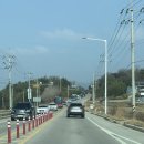 강진-40 | 2026 강진마라톤 다녀온 후기 '반상기'를 시상으로 주는 마라톤대회 #강진청자축제