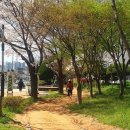 동목포공원2 이미지