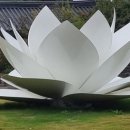 하운드호텔 광주상무점 이미지