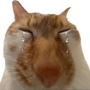 씨유 대화스토리점 | 11월은 타이밍이라고들 하지만... 같은 타이밍에 이러는 건 아닌 거 같습니다.