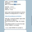 W7. 롤렉스 서브마리너 데이트, 레이디 데이저스트 성골 후기 (바이버 시착, 나우워치, 명보사)
