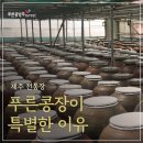 제주많은다홍