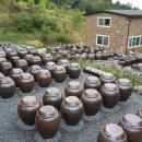 탑골농장 이미지