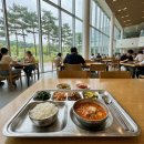 힐링복싱캠프 | 잉글리프 에코캠퍼스 아이 혼자 보낸 솔직 후기