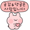 풀잎채보문점 이미지