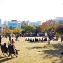 미리내색소폰 이미지