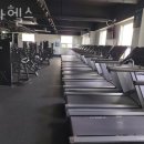 스타헬스 이미지