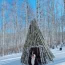 원대리 자작나무숲 | 겨울 강원도 여행코스 인제 원대리 속삭이는 자작나무숲 트레킹 후기와 준비물, 주차 정리