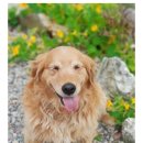 산골공작소 이미지