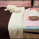 오드리속눈썹 - 용인시 수지구 신수로783번길 12 | 오드리속눈썹