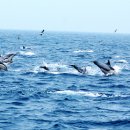 [일원2] 문학창작 이미지