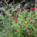 여울산장 이미지