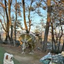 미호박물관 | 남양주 미호박물관 공룡박물관 화석박물관 방문 후기 아이랑 실내 갈만한 곳