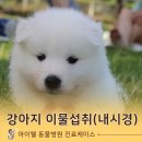 대흥동물병원 이미지