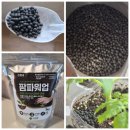 칼리그램 | 유기질비료, NK비료추천 치유팜 팜파워업 친환경 유기질 유박비료