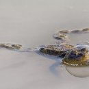 (주)야생 이미지