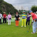 파크골프! 안전수칙이 먼저 - 시니어매일 보도 이미지