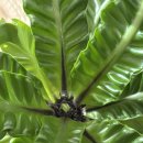 내곡4리 마을회관 | 2026년 9월_바쁘고 행복하고 정신없이 호다닥