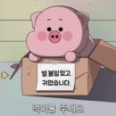 카페비 - 남양주시 금강로 1554-20 | 카페비