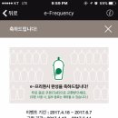 개냥이 이미지