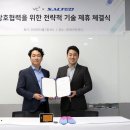솔티드