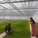 여주축산농협 이미지