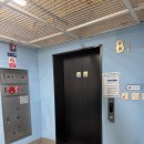 서울애견 | 김포 서울바다카페 브런치맛집 애견동반후기