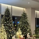 코트야드 바이 메리어트 세종 이미지