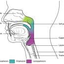 (CMA)실용음악학원 이미지