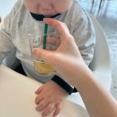 달맞이목장 | [해운대 대형 카페] 프루터리포레스트 해운대달맞이점 - 해운대 아이랑 갈만한곳