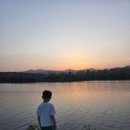 부일정