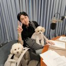 릴리홈 이미지