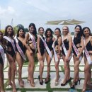 로얄코리아 이미지